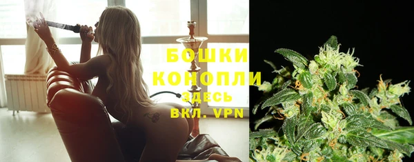 PSILOCYBIN Богородск
