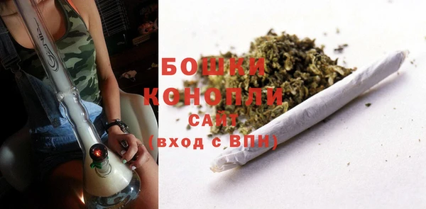 первитин Богданович
