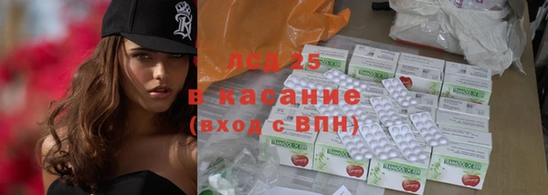 первитин Богданович