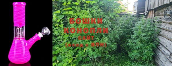 PSILOCYBIN Богородск