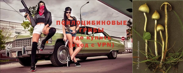 первитин Богданович