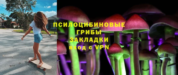 первитин Богданович
